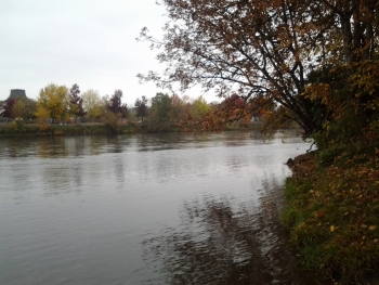 Willamette River, looking north-east. One of my favorite places to get outside and touch in, that is not the ocean.